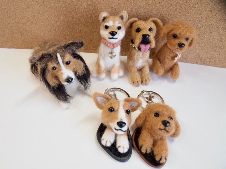 フェルティードックの写真