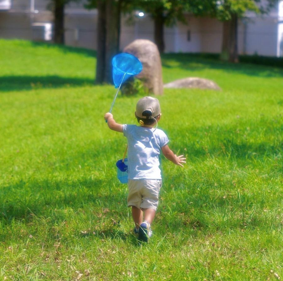 tihayataさんの写真