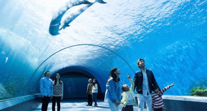 横浜・八景島シーパラダイスのアクアミュージアムを通り抜ける家族やカップルの写真