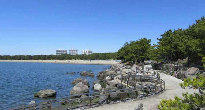 海の公園の海辺の写真